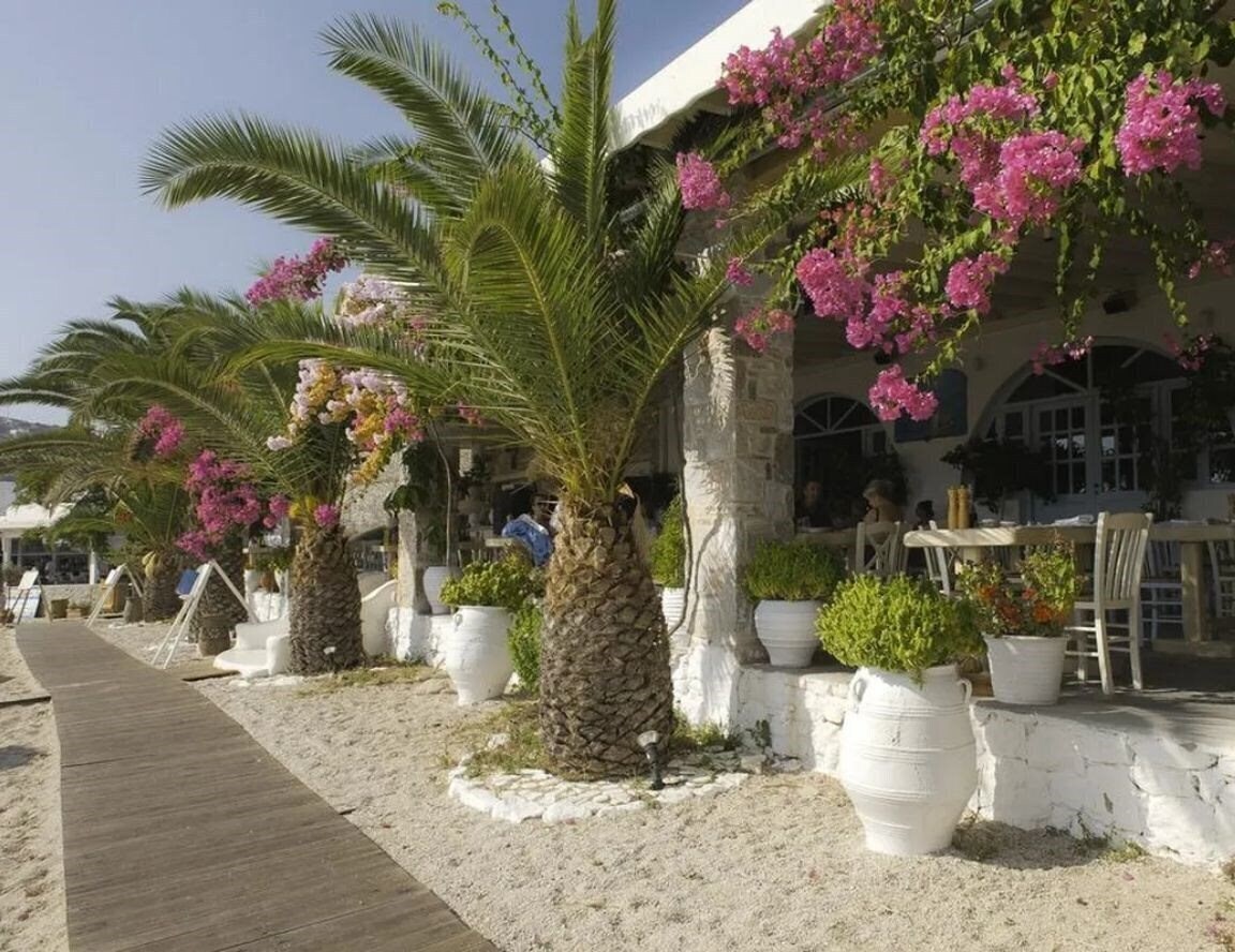 Вид Mykonos Palace Beach Hotel 4*